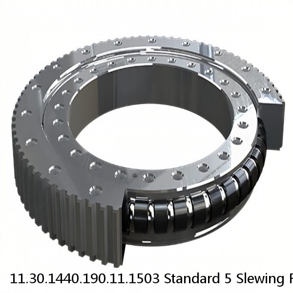 11.30.1440.190.11.1503 Standard 5 Slewing Ring Bearings