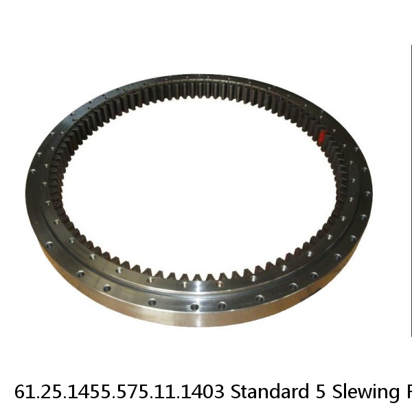 61.25.1455.575.11.1403 Standard 5 Slewing Ring Bearings