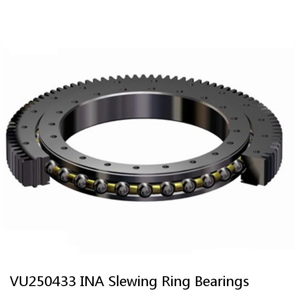 VU250433 INA Slewing Ring Bearings