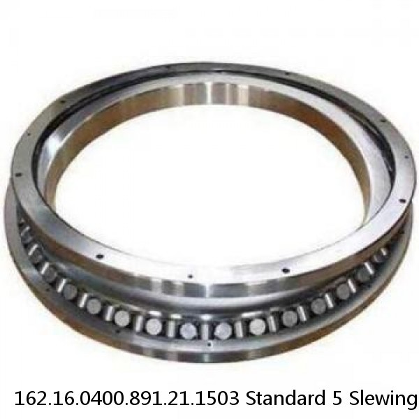 162.16.0400.891.21.1503 Standard 5 Slewing Ring Bearings