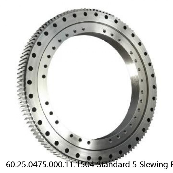 60.25.0475.000.11.1504 Standard 5 Slewing Ring Bearings