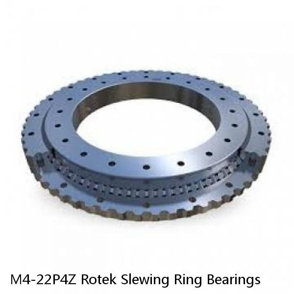 M4-22P4Z Rotek Slewing Ring Bearings