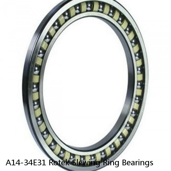 A14-34E31 Rotek Slewing Ring Bearings