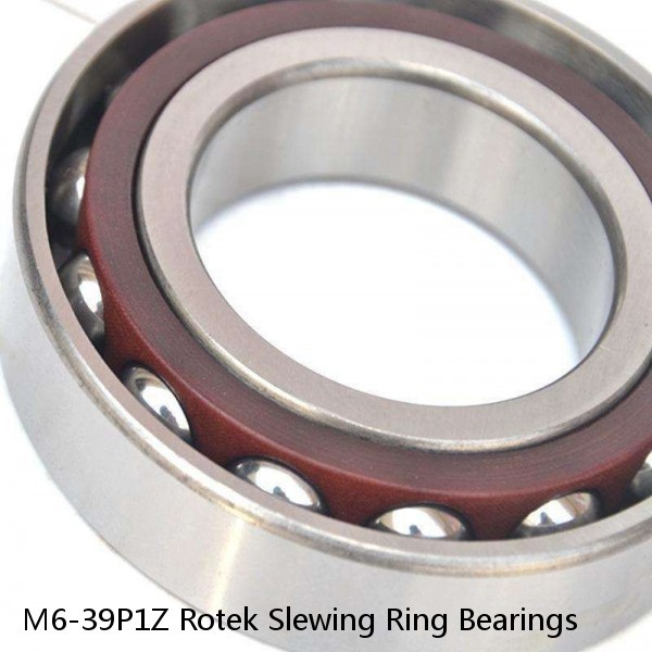 M6-39P1Z Rotek Slewing Ring Bearings