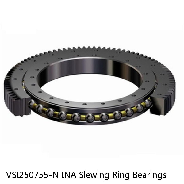 VSI250755-N INA Slewing Ring Bearings