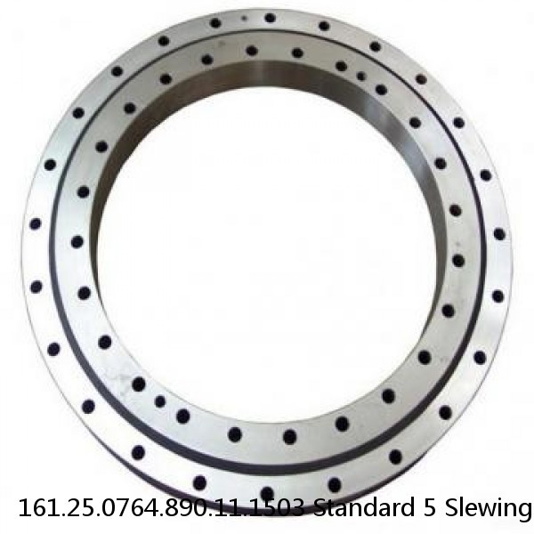 161.25.0764.890.11.1503 Standard 5 Slewing Ring Bearings