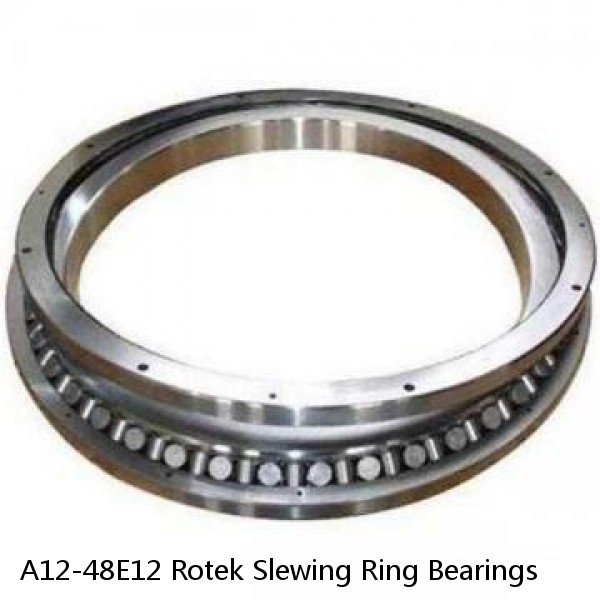 A12-48E12 Rotek Slewing Ring Bearings