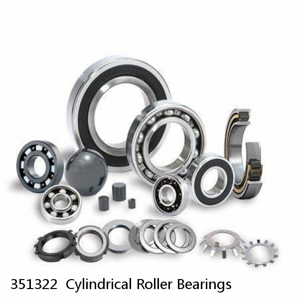 351322  Cylindrical Roller Bearings