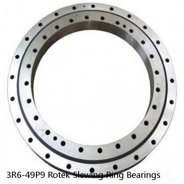 3R6-49P9 Rotek Slewing Ring Bearings