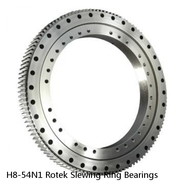 H8-54N1 Rotek Slewing Ring Bearings