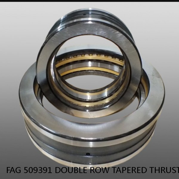 FAG 509391 DOUBLE ROW TAPERED THRUST ROLLER BEARINGS