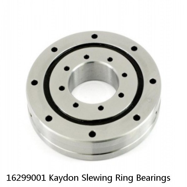 16299001 Kaydon Slewing Ring Bearings