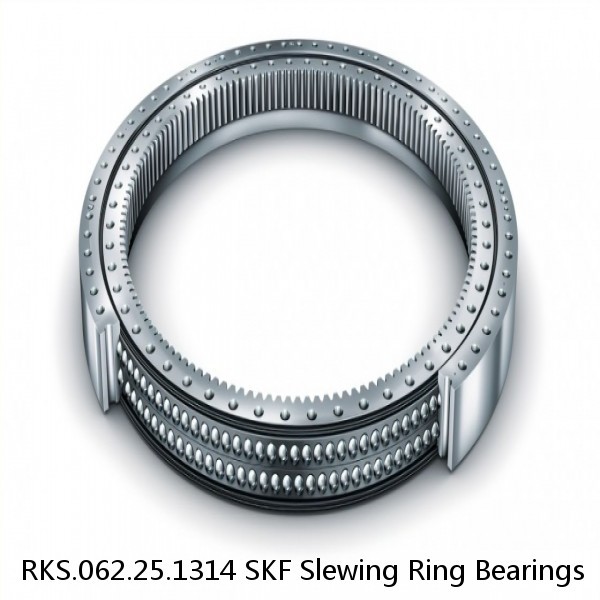 RKS.062.25.1314 SKF Slewing Ring Bearings