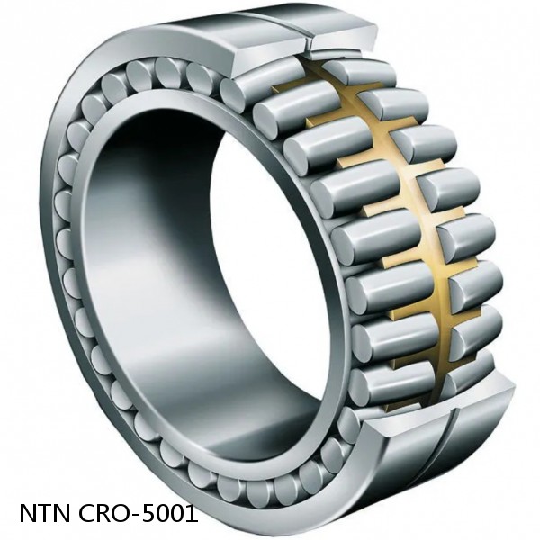 CRO-5001 NTN Cylindrical Roller Bearing