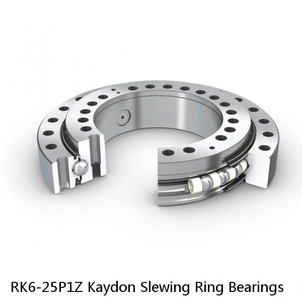 RK6-25P1Z Kaydon Slewing Ring Bearings