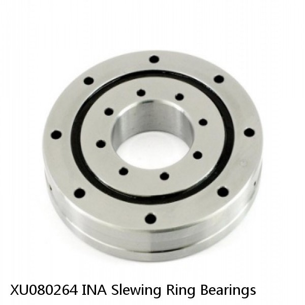 XU080264 INA Slewing Ring Bearings