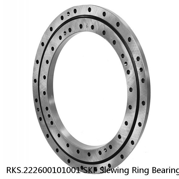 RKS.222600101001 SKF Slewing Ring Bearings