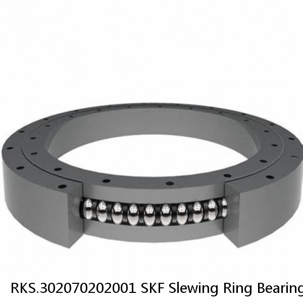 RKS.302070202001 SKF Slewing Ring Bearings