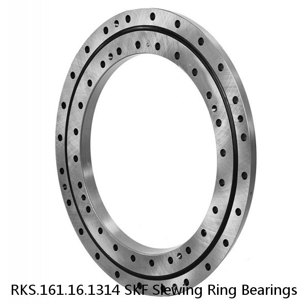 RKS.161.16.1314 SKF Slewing Ring Bearings