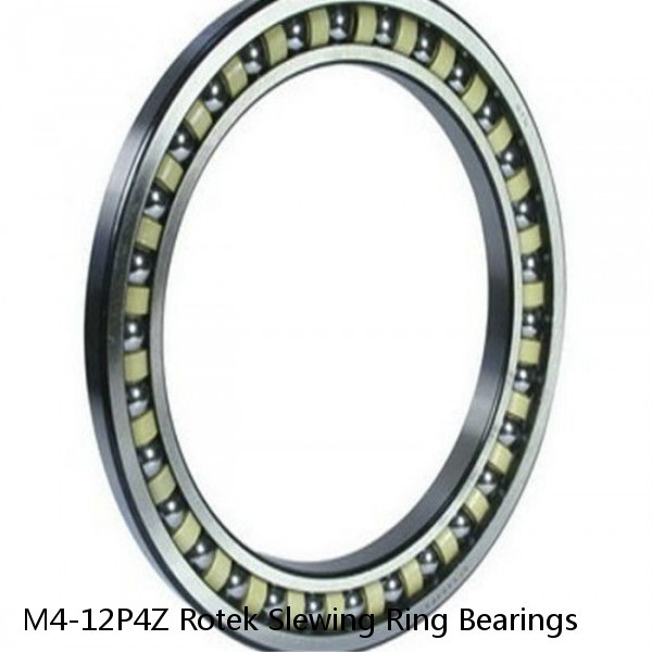 M4-12P4Z Rotek Slewing Ring Bearings