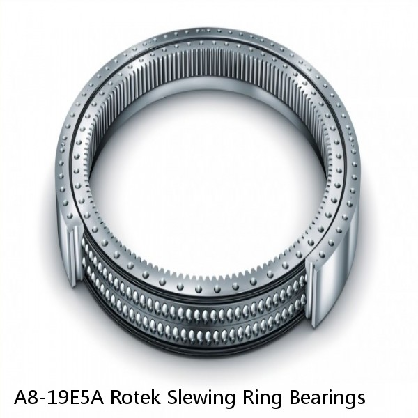 A8-19E5A Rotek Slewing Ring Bearings