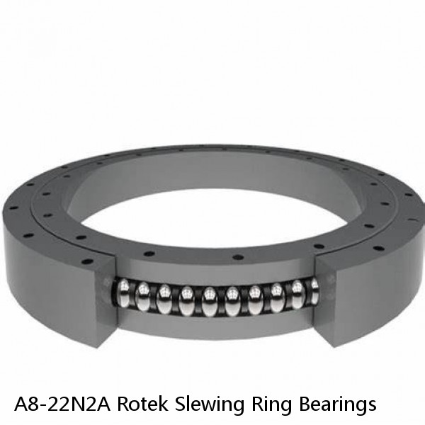 A8-22N2A Rotek Slewing Ring Bearings