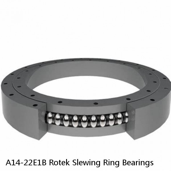 A14-22E1B Rotek Slewing Ring Bearings