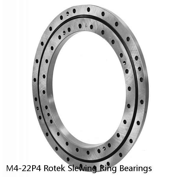 M4-22P4 Rotek Slewing Ring Bearings