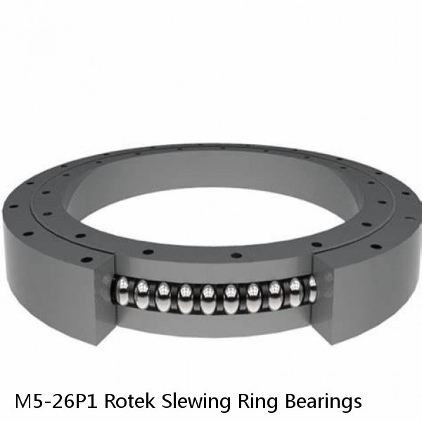 M5-26P1 Rotek Slewing Ring Bearings