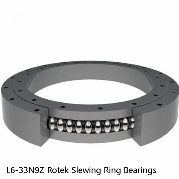 L6-33N9Z Rotek Slewing Ring Bearings