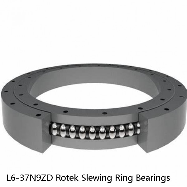 L6-37N9ZD Rotek Slewing Ring Bearings