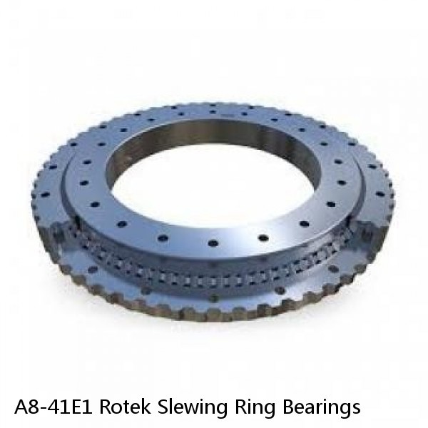 A8-41E1 Rotek Slewing Ring Bearings