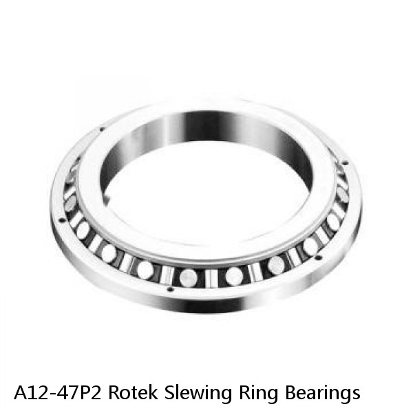 A12-47P2 Rotek Slewing Ring Bearings