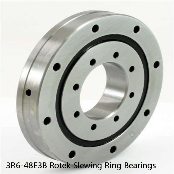 3R6-48E3B Rotek Slewing Ring Bearings