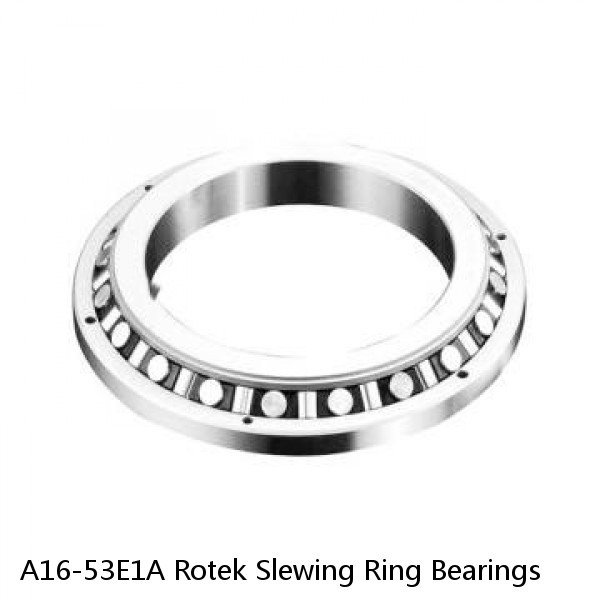 A16-53E1A Rotek Slewing Ring Bearings