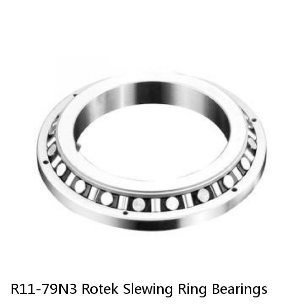 R11-79N3 Rotek Slewing Ring Bearings