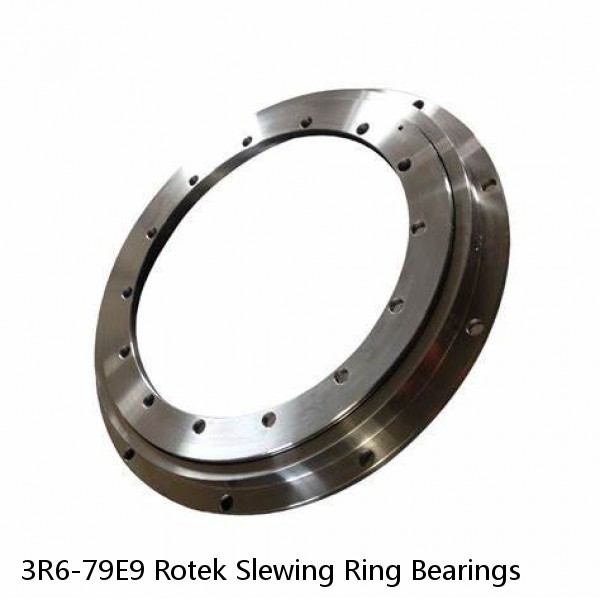 3R6-79E9 Rotek Slewing Ring Bearings