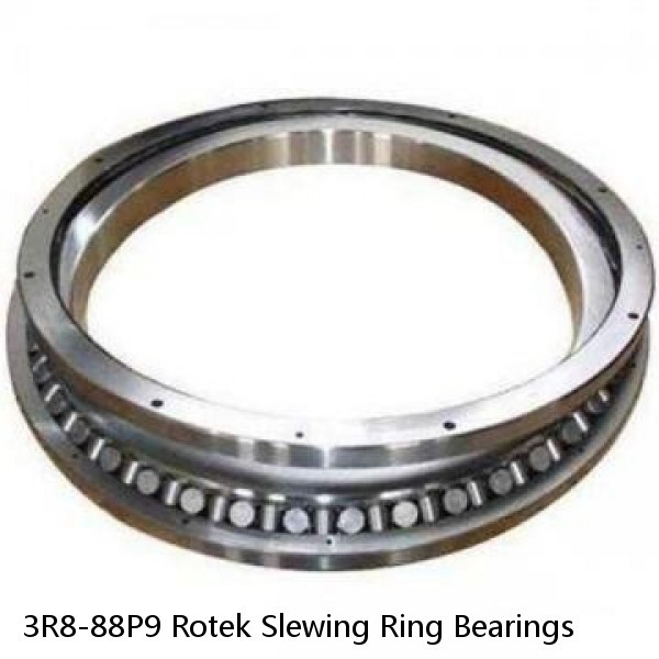 3R8-88P9 Rotek Slewing Ring Bearings