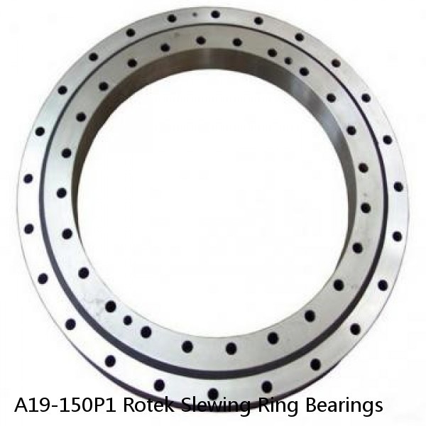 A19-150P1 Rotek Slewing Ring Bearings