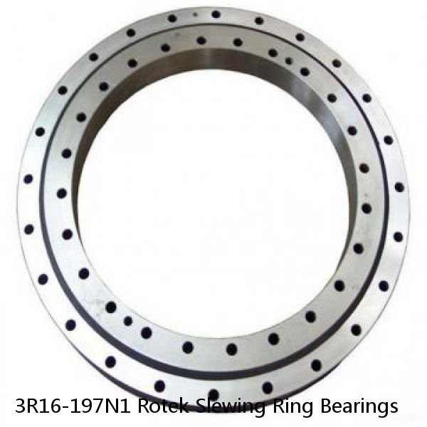 3R16-197N1 Rotek Slewing Ring Bearings