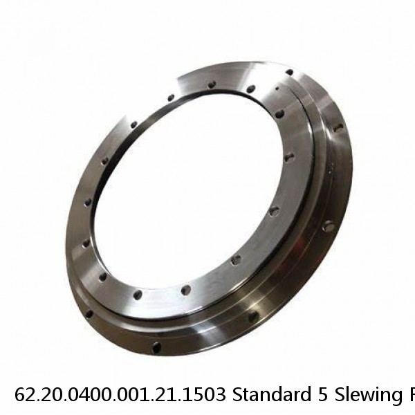 62.20.0400.001.21.1503 Standard 5 Slewing Ring Bearings