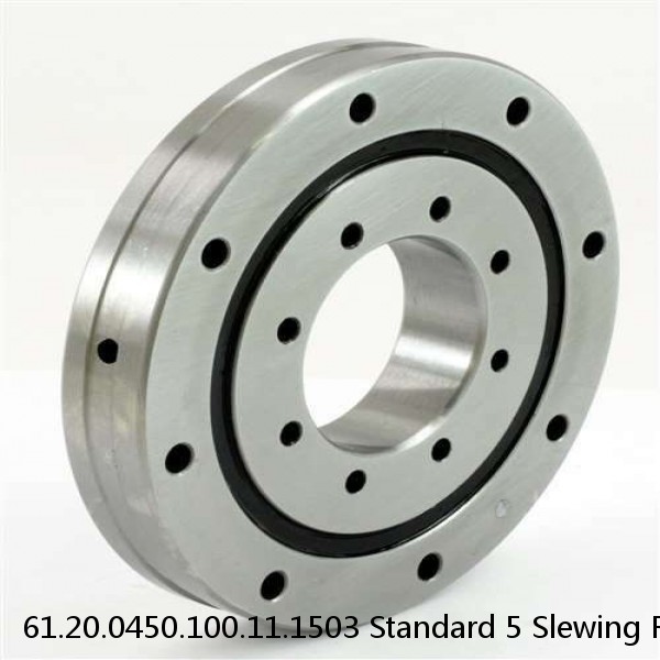 61.20.0450.100.11.1503 Standard 5 Slewing Ring Bearings