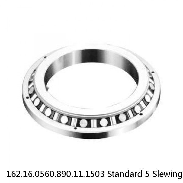 162.16.0560.890.11.1503 Standard 5 Slewing Ring Bearings