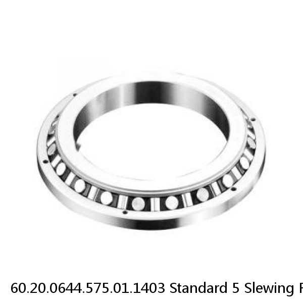 60.20.0644.575.01.1403 Standard 5 Slewing Ring Bearings