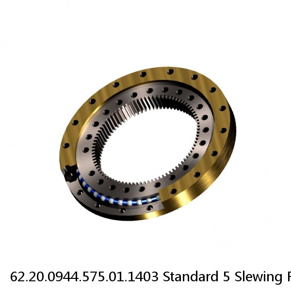 62.20.0944.575.01.1403 Standard 5 Slewing Ring Bearings