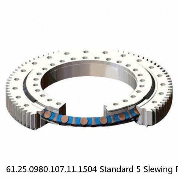 61.25.0980.107.11.1504 Standard 5 Slewing Ring Bearings