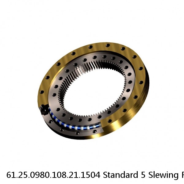 61.25.0980.108.21.1504 Standard 5 Slewing Ring Bearings