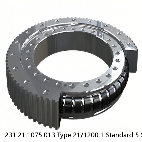 231.21.1075.013 Type 21/1200.1 Standard 5 Slewing Ring Bearings