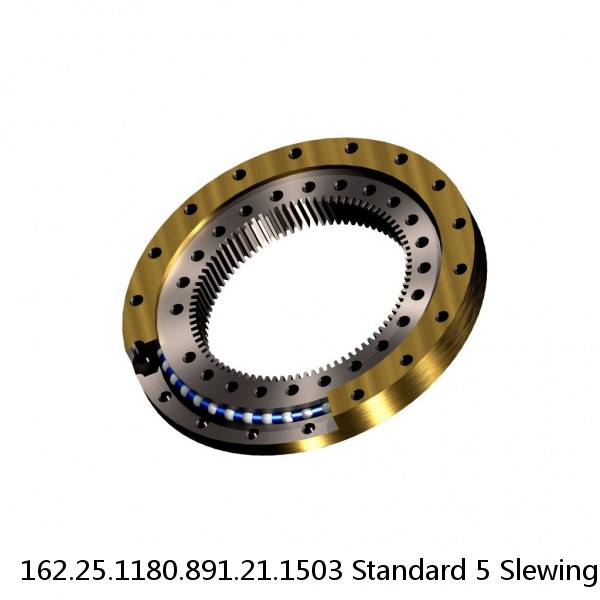 162.25.1180.891.21.1503 Standard 5 Slewing Ring Bearings