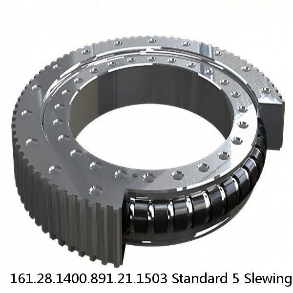 161.28.1400.891.21.1503 Standard 5 Slewing Ring Bearings